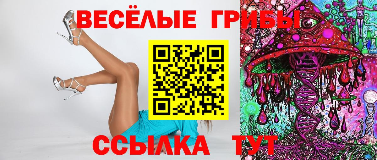 Галлюциногенные грибы Прокопьевск