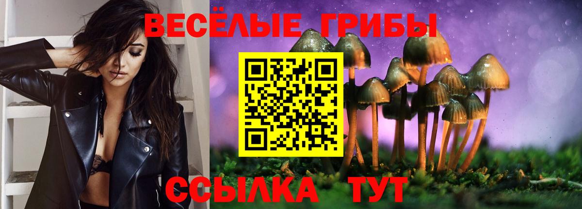 Прокопьевск  Псилоцибиновые грибы ЛСД  дарнет шоп  Вход с VPN 