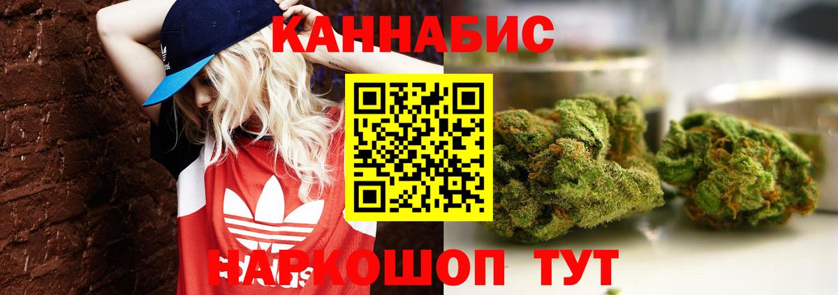 Конопля сатива  Конопля гибрид  Прокопьевск  Каннабис конопля  Вход с VPN  Конопля Bruce Banner 